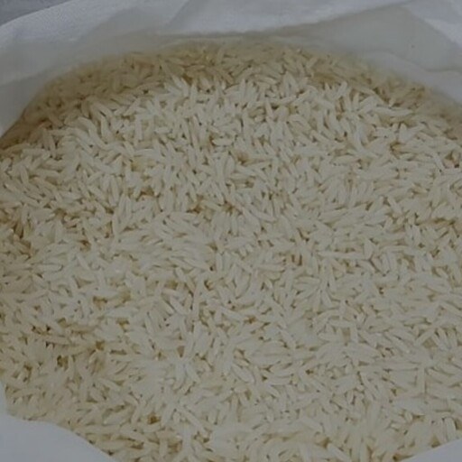 قیمت برنج شیرودی اعلا + خرید باور نکردنی